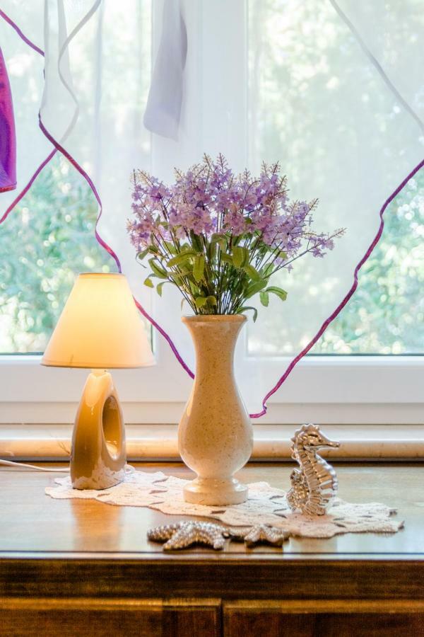 Vila Maslinica プチシャ エクステリア 写真